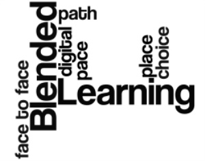Blended Learning: Professional  Development Opportunities